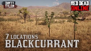 Blackcurrant Locations Red Dead Online [upl. by Dlaniger]