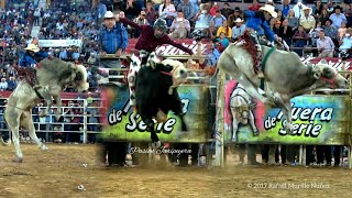 ¡ESPUELA CORTÓ A MEMO 22 DESTRUCTORES DE MEMO OCAMPO MONUMENTAL DE MORELIA 2017 [upl. by Elleinaj]