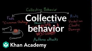 Aspects of Collective Behavior Fads Mass Hysteria and Riots  Behavior  MCAT  Khan Academy [upl. by Cullin666]