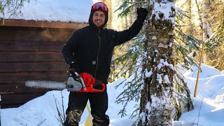 Felling Trees at our Remote Cabin in the Alaskan Wilderness [upl. by Yarg]