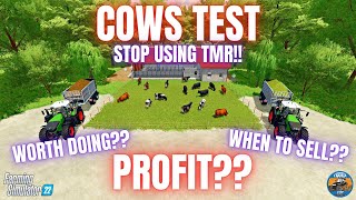 COWS TEST  Farming Simulator 22 [upl. by Sofie]