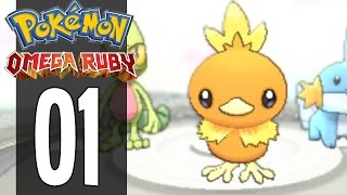 Pokemon Omega Ruby and Alpha Sapphire  Part 1 Gameplay Walkthrough [upl. by Ecidnacal135]