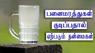 கள்ளு குடிப்பதால் ஏற்படும் நன்மைகள் [upl. by Ener826]