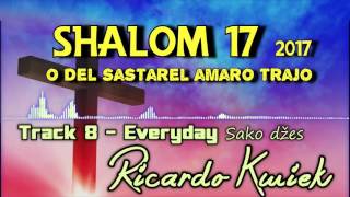 Ricardo Kwiek 2017  Track 8 Everyday [upl. by Valleau]