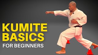 Karate Kumite Basic Techniques for Beginners [upl. by Nrublim]