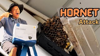 Eufy Wired Floodlight Cam E340 Installation Disaster Attacked by Hornets [upl. by Rengaw]