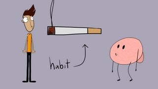 The Power of Habit [upl. by Ammann]