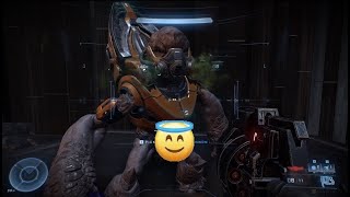 Halo Infinite Campaign Friendly Grunt [upl. by Thomasina]