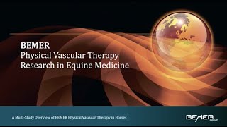 BEMER Physical Vascular Therapy Research in Equine Medicine [upl. by Katleen]