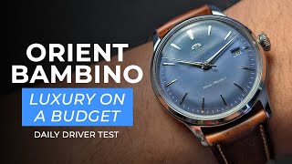 Why Is The Orient Bambino So Loved Among Watch Enthusiasts [upl. by Bushweller]