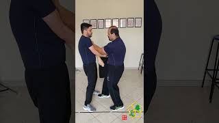 Fragmentos do Ving Tsun Wing Chun  31 vingtsun wingchun martialarts kungfu [upl. by Ayin]