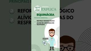 Farmacêutico Explica Equinácea [upl. by Panchito]