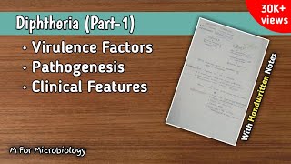 Diphtheria Part1  Virulence factor  Pathogenesis  Clinical features [upl. by Nwahsor]