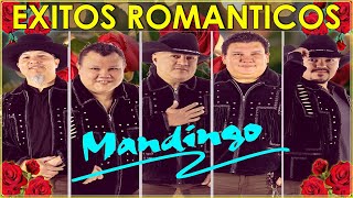 GRUPO MANDINGO EXITOS SUS MEJORES CANCIONES DE GRUPO MANDINGO  MIX ROMANTICAS 2024 [upl. by Eyot181]