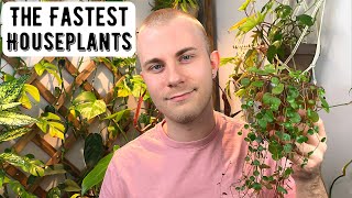 The Fastest Growing Houseplants [upl. by Nyral]