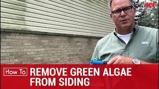 How To Remove Green Algae From Siding  Ace Hardware [upl. by Lundell764]