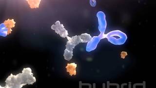 Antidrug antibodies [upl. by Volny]