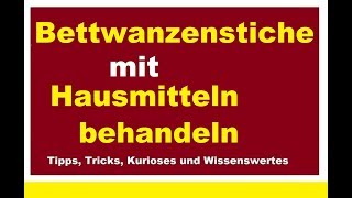 Hausmittel bei Bettwanzenstichen Bettwanzen Stiche mit Hausmitteln behandeln Wanzen Hauswanzen [upl. by Booker]