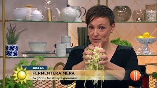 Fermentera mera Nya mattrenden som förstärker smakerna  Nyhetsmorgon TV4 [upl. by Groome]