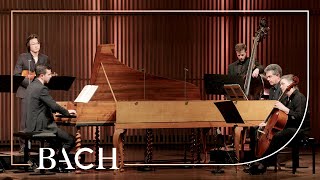 Bach  Concerto for two harpsichords in C major BWV 1061  CortiHenstra  Netherlands Bach Society [upl. by Venola]