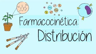 Farmacocinetica distribucion [upl. by Enrichetta]