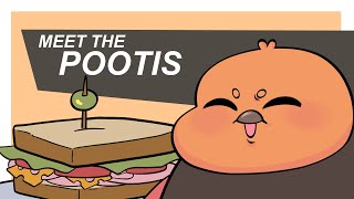 Meet The Pootis TF2 Animation [upl. by Muhammad682]