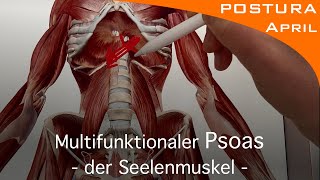 Der multifunktionale Psoas  der Seelenmuskel [upl. by Parker]