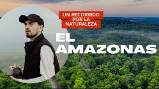 LA INMENSIDAD DEL AMAZONAS  Una Aventura Inolvidable  Documental [upl. by Ahseka]