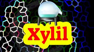 HOW SAY XYLYL XYLYL PRONUNCIATION HIGH QUALITY VOICES WIE SAGT MAN XYLYL COMO DECIR XYLYL [upl. by Adialeda785]