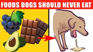 Dangerous Foods Your Dog Should Never Eat [upl. by Amsed]