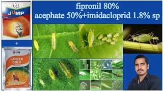 jump fipronil 80 wg usesacephate 50  imidacloprid 18 sp thrips par [upl. by Alexine698]