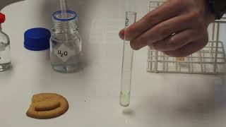 Lipid emulsion test IGCSE Biology [upl. by Zampino194]