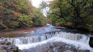 4K  Sgwd Y Bedol Waterfall  Brecon Beacons National Park [upl. by Htepsle727]