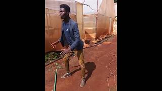 Macheso🤣🤣 comedy subscribe funny [upl. by Glyn799]