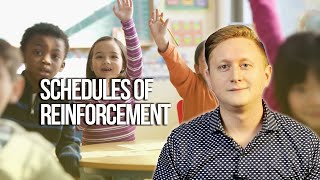 Schedules of Reinforcement In Applied Behavior Analysis ABA [upl. by Anahsat795]