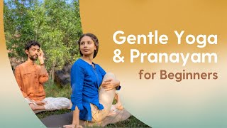 Easy Yoga Asanas amp Pranayama  30 Minutes  Hatha Asanas amp Anulom Vilom Pranayama [upl. by Alodie]