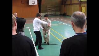 Chen Bing Teaching Taiji Applications [upl. by Silva16]