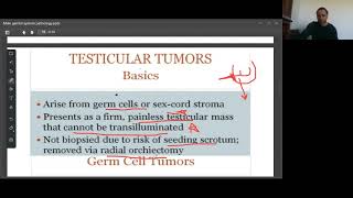 How To Read Ultrasounds USG At Home  घर पर अल्ट्रासाउंड कैसे पढ़े Ultrasound Report In Hindi [upl. by Tobit]