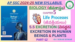 10th BIOLOGYLIFE PROCESSES12EXCRETION IN HUMAN BEINGS ampPLANTSSCERTNCERTSREE GURU BIO CLASSES [upl. by Etnecniv]