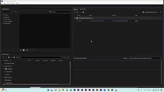 Adobe Animate  Exportation [upl. by Ronoel]