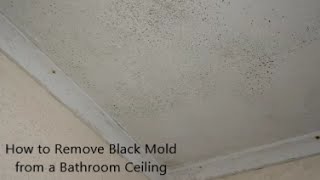 How to Remove Black Mold from a Bathroom Ceiling [upl. by Ilatfan688]