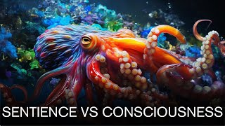 The Difference Between Consciousness and Sentience [upl. by Hanae]