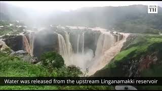 Indias tallest waterfall in full flow [upl. by Ettebab293]