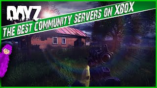 The best Xbox servers you should be playing right now in DayZ  Server guide [upl. by Acemat]