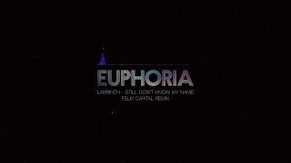 Labrinth  Still Dont Know My Name Felix Cartals Euphoria Remix [upl. by Nnyliram893]