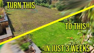 HOW TO FIX YOUR PATCHY LAWN IN JUST 3 WEEKS [upl. by Niriam]