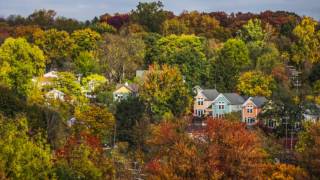 Check out this timelapse video of leaves changing in Ann Arbor [upl. by Leanahtan]