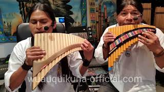 LIVE  Alomia Robles  El Condor Pasa  Panflute  Quena Instrumental  LIVE [upl. by Yttiy]