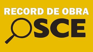 ¿Cómo hacer el RECORD DE OBRA 2020 – OSCE [upl. by Llednahs]