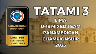 Campeonato Panamericano Sub 13 2023 Tatami 3 Equipos Mixto [upl. by Cart]